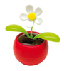 Solarblume