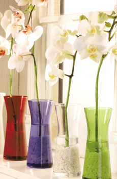 Werbeartikel : RASTAL  Vase Color