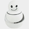 Salz- und Pfefferm�hle Clever