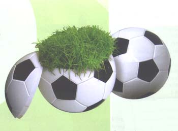 Werbeartikel : Rasender Fussball