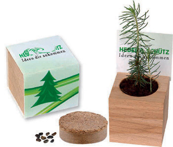 Werbemittel : Naturw�rfel Fichte