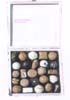 Tr�ffel/Pralinen-Kiste
